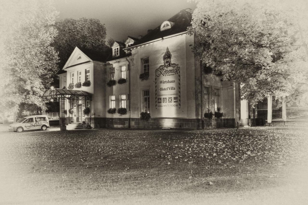 Hotel Villa Wirtshaus Koepenick Hofgeismar Exterior photo